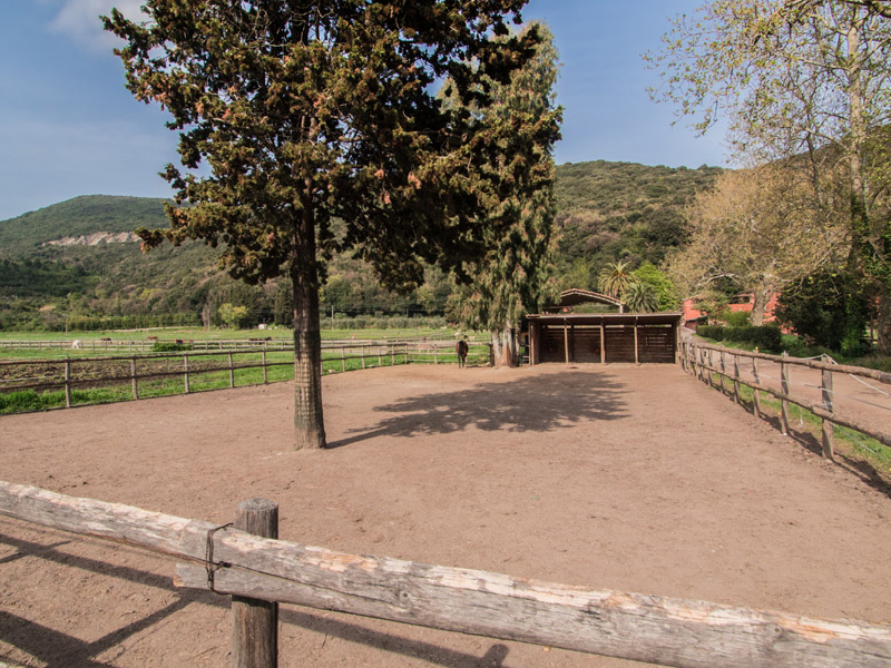 Equinatura Toscana - Le aree per ospitare i cavalli