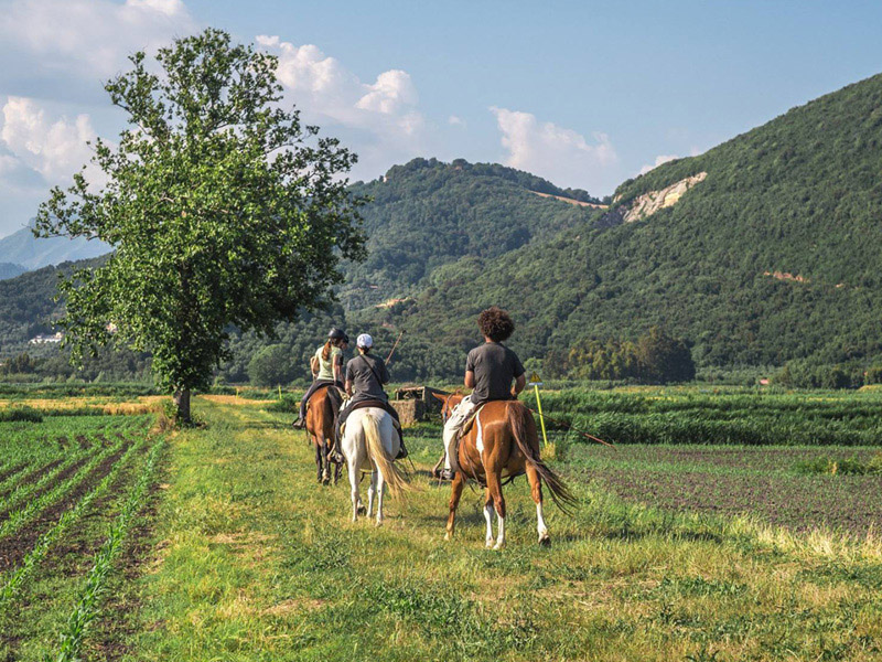 Equinatura Toscana - Passeggiata a cavallo