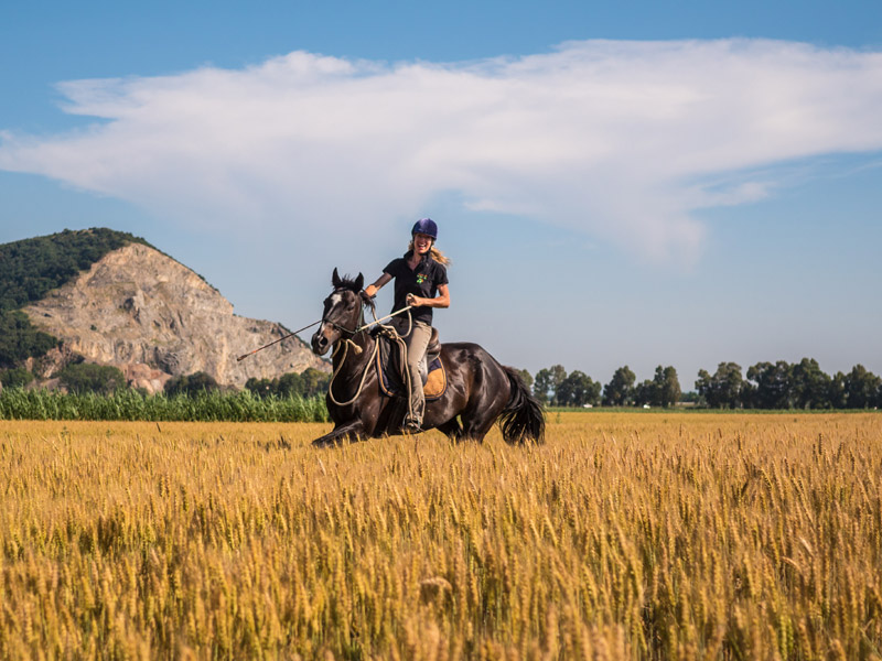 Equinatura Toscana - A cavallo nei campi di grano