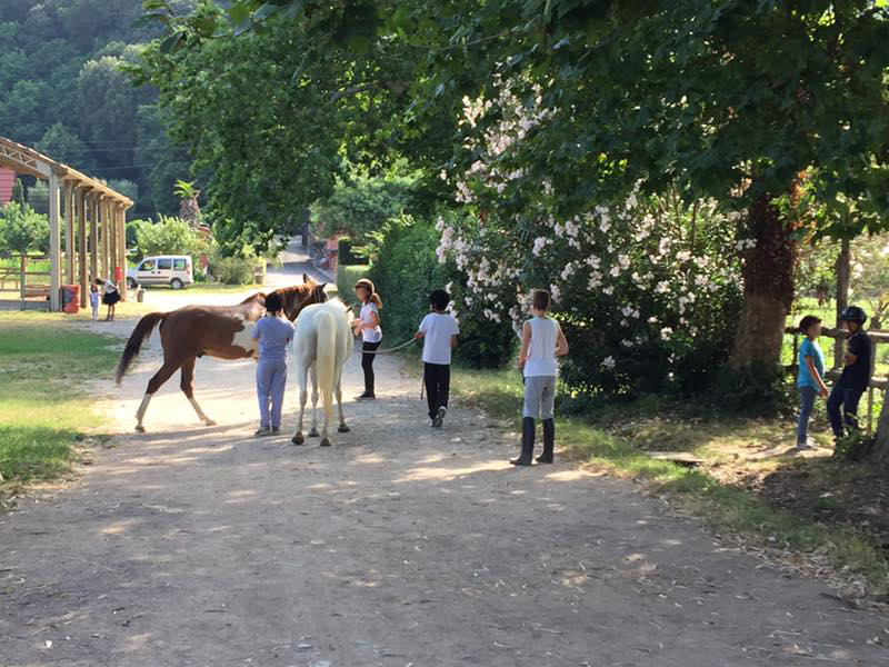 Campi estivi 2016 Circo&Cavallo - Equinatura Toscana