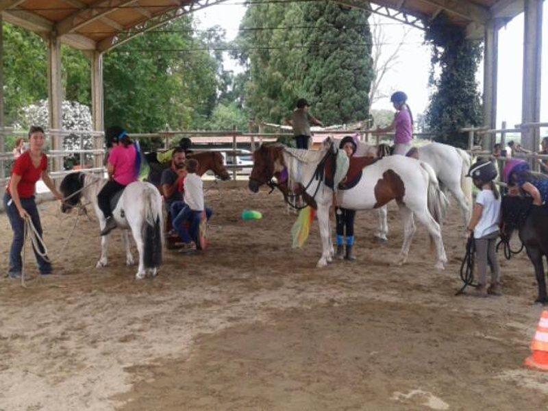 Campi estivi 2016 Circo&Cavallo - Equinatura Toscana