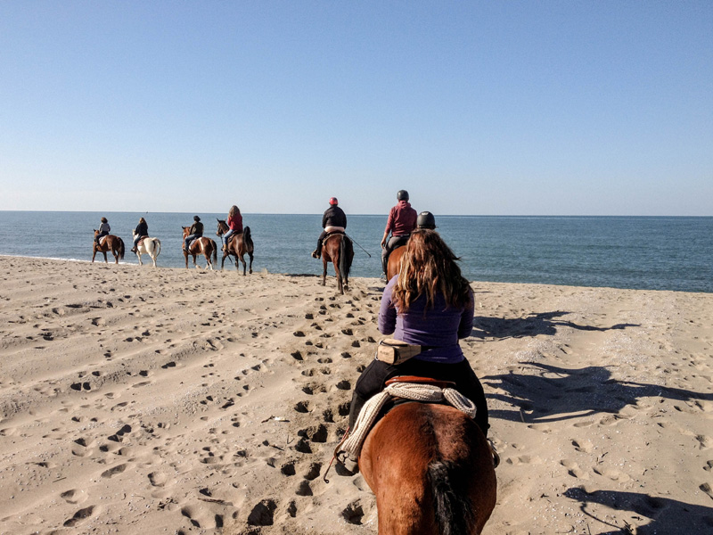 Passeggiata a cavallo sulla spiaggia di Viareggio